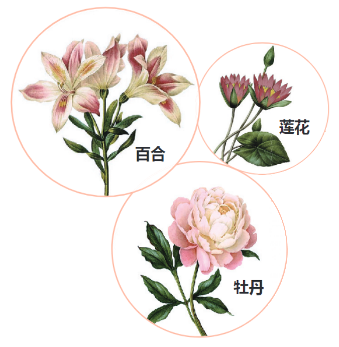 5. 供奉菩薩须知 | 供花(图1) 5. 供奉菩薩须知 | 供花(图1)